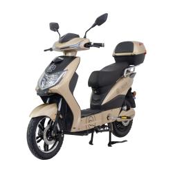 RACCEWAY Elektroskútr E-fichtl sv.zlatý-matný s baterií 20Ah + sleva 1500,- na příslušenství RACCEWAY Elektroskútr E-fichtl sv.zlatý-matný s baterií 20Ah + sleva 1500,- na příslušenství