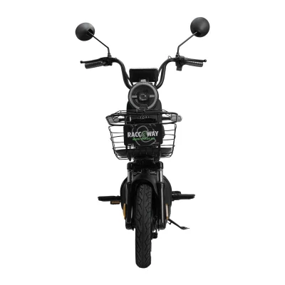 RACCEWAY Elektroskútr Kobra-sg-g60 černý bez baterie