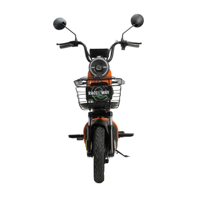 RACCEWAY Elektroskútr Kobra-sg-g60 oranžový