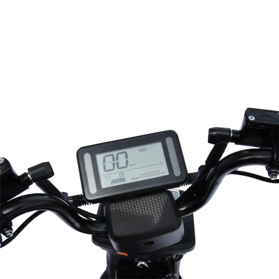 RACCEWAY Elektroskútr Pařez 25 bez ŘP černý