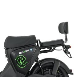 RACCEWAY Elektroskútr Pařez 25 bez ŘP černý bez baterie + sleva 1000,- na příslušenství