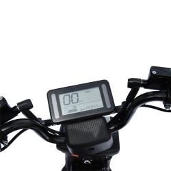 RACCEWAY Elektroskútr Pařez 25 bez ŘP šedý bez baterie + sleva 1000,- na příslušenství