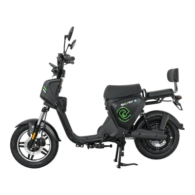 RACCEWAY Elektroskútr Pařez 40 s ŘP černý + sleva 1500,- na příslušenství