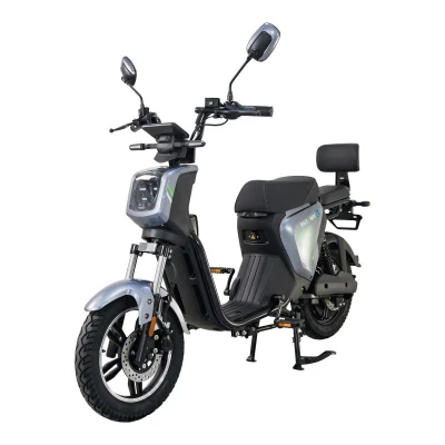 RACCEWAY Elektroskútr Pařez 40 s ŘP šedý + sleva 1500,- na příslušenství