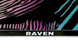 Raven Dahlia Carbon Mint/Pink dámský snowboard + sleva 500,- na příslušenství