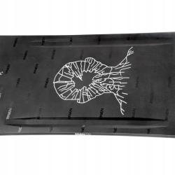 Raven PRO OpenMind Carbon snowboard + Gravity Indy black/white vázání