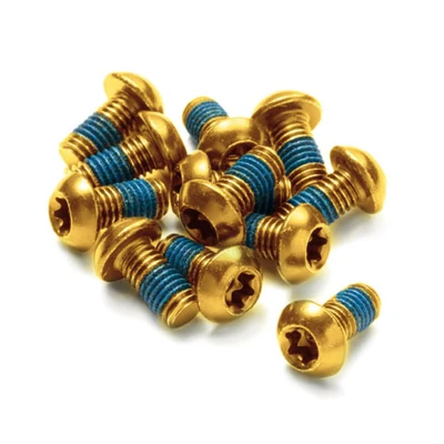 Reverse Šrouby na kotouče Steel M5 x 10 mm Torx 25 zlaté, 12 ks