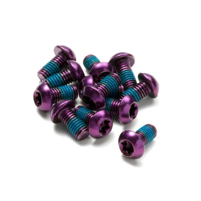 Reverse Šrouby na kotouče Steel M5 x 10 mm, Torx 25, 12 ks fialové