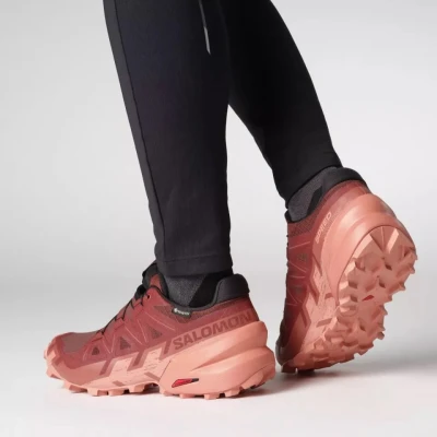 Salomon Speedcross 6 GTX W rum raisin/barn red/canyon clay dámské trailové boty