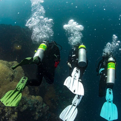 Scubapro Ploutve ploutve SEAWING NOVA