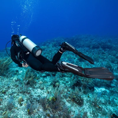 Scubapro Ploutve ploutve SEAWING NOVA