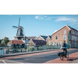 Selle Royal Avenu sedlo