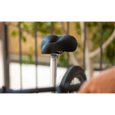 Selle Royal Avenue Athletic