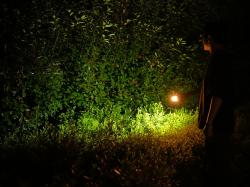 Sorbo Svietidlo Stick Lamp