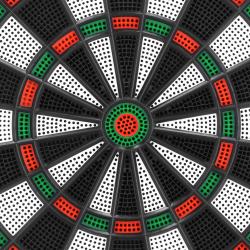 Spokey NARVI BASIC Tréninkový terč na šipky