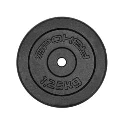 Spokey SINIS Litinový kotouč, 29 mm, 1,25 kg