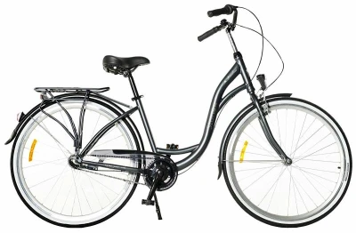 Storm Barcelona metalické grafitové 28" 3sp. 19" dámské městské kolo