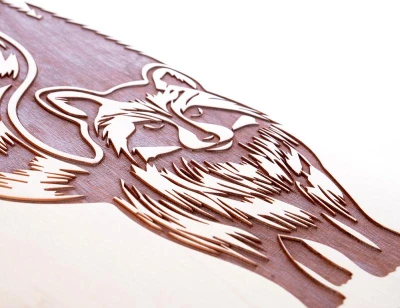 Tempish COON longboard