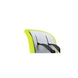 Thule RideAlong 2 Zen Lime cyklosedačka pod sedlo