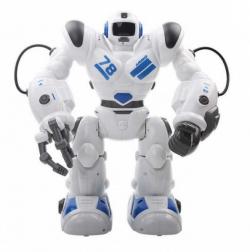 TPC Robohoter RTR