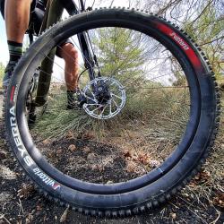 Vittoria Syerra 29x2.4 DownCountry full blk 4C G2.0