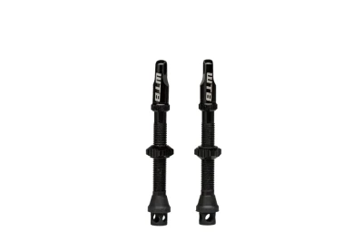 WTB TCS AL Max-Flow Presta Valve 65mm Černá 2 ventilky