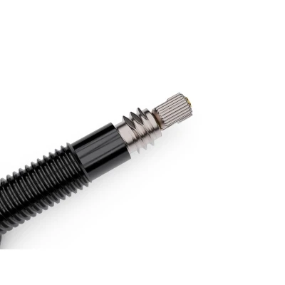 WTB TCS AL Max-Flow Presta Valve 65mm Černá 2 ventilky