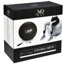 Xqmax Gymnastický míč GYMBALL XQ MAX 65 cm růžová