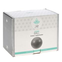 Xqmax Gymnastický míč GYMBALL XQ MAX 65 cm šedá