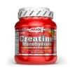 Amix Nutrition Creatine Monohydrate 500g