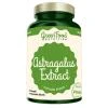 GreenFood Astragalus Extract 90 kapslí GreenFood Astragalus Extract 90 kapslí