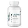 NutriWorks Choline 500mg 90 kapslí NutriWorks Choline 500mg 90 kapslí