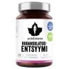 Puhdistamo Digestive Enzymes 30 kapslí Puhdistamo Digestive Enzymes 30 kapslí