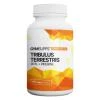 GymSupps Tribulus Terrestris 90% + Piperine 100 kapslí GymSupps Tribulus Terrestris 90% + Piperine 100 kapslí