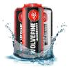 ProBrands Wolverine Energy Drink 250ml