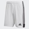 Adidas Tastigo19 SHO DP3247 pánské šortky fotbal