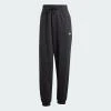 Adidas W SL FT CF PT JD7999 dámské tepláky POUZE L (VÝPRODEJ) Adidas W SL FT CF PT JD7999 dámské tepláky POUZE L (VÝPRODEJ)
