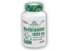 Amix GreenDay Methionine 1000mg 120 kapslí