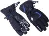 Blizzard Reflex ski gloves black/blue Blizzard Reflex ski gloves black/blue
