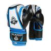BUSHIDO Boxerské rukavice DBX ARB407v1 6 oz. BUSHIDO Boxerské rukavice DBX ARB407v1 6 oz.