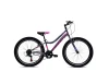 Capriolo Diavolo 400 šedá, růžová 24"/12" dětské horské jízdní kolo