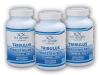 FitSport Nutrition 3x Tribulus Terrestris 90% + Vitamin B6 + Zinc 100 caps