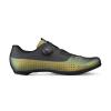 Fizik Overcurve R4 Iridescen