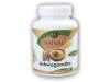 Golden Natur Ashwagandha 100 kapslí Golden Natur Ashwagandha 100 kapslí