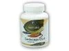 Golden Natur Cordyceps 30% polysacharidů 100 kapslí