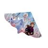 FROZEN ELSA 115x63 cm drak