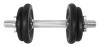 Lifefit Činka nakládací jednoruční 10 kg 30mm tyč/4x kotouč