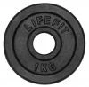 Lifefit Kotouč 1kg kovový pro 30mm tyč Lifefit Kotouč 1kg kovový pro 30mm tyč