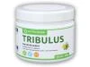 Nutri House Tribulus - Kotvičník 300 tablet Nutri House Tribulus - Kotvičník 300 tablet