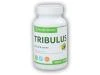 Nutri House Tribulus Terrestris 100 tablet Nutri House Tribulus Terrestris 100 tablet